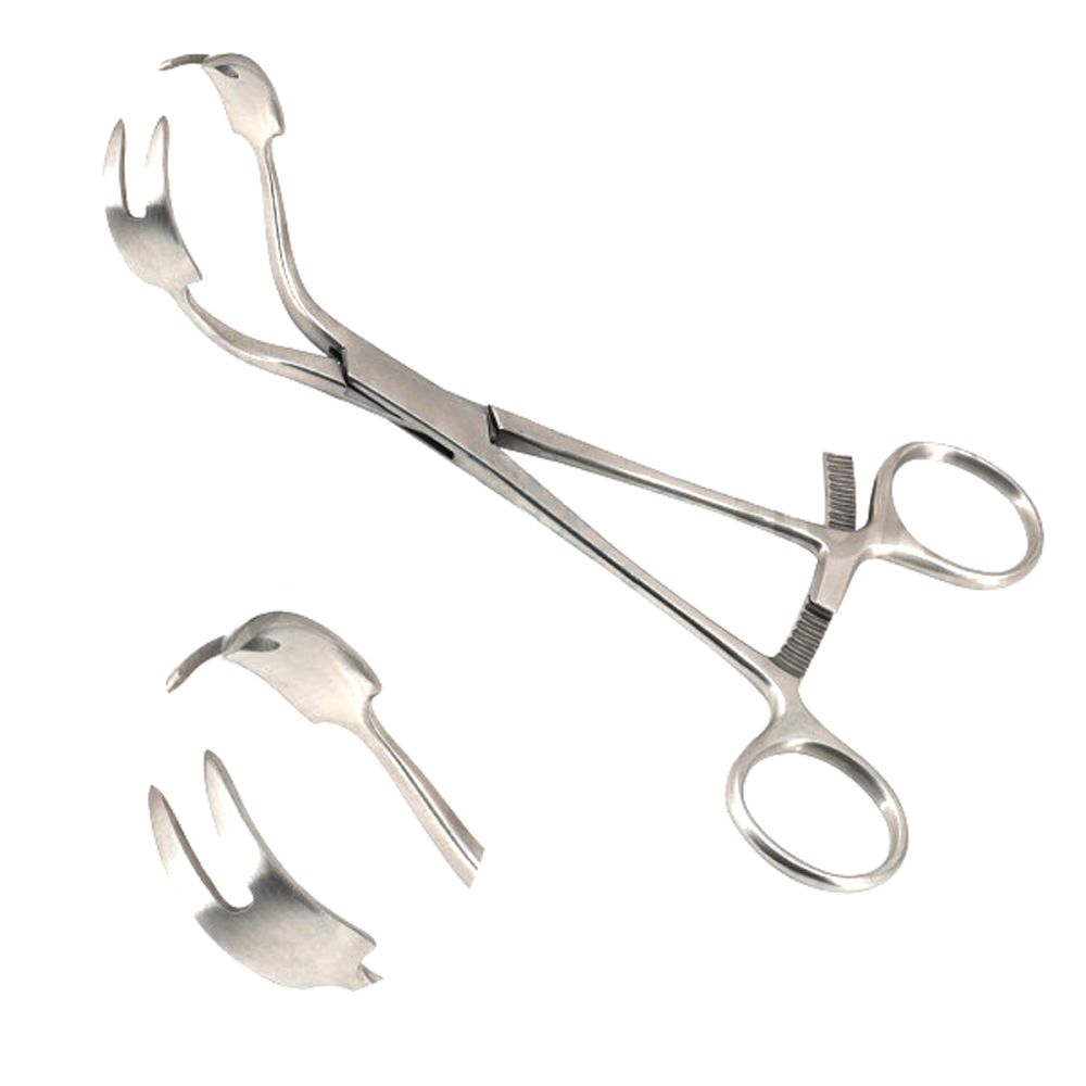 Twin Point Fragment Reduction Forceps 7? Curved with Long Ratchet